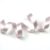 Hushed Pink