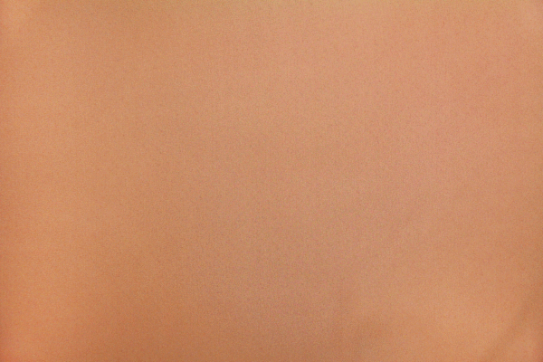 A solid nude georgette fabric.