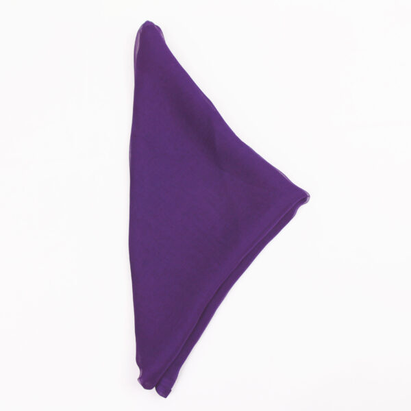 Bella Scarf - Grape - Image 2