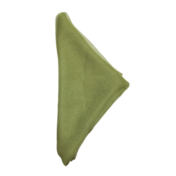 Bella Scarf - Olive - Image 2