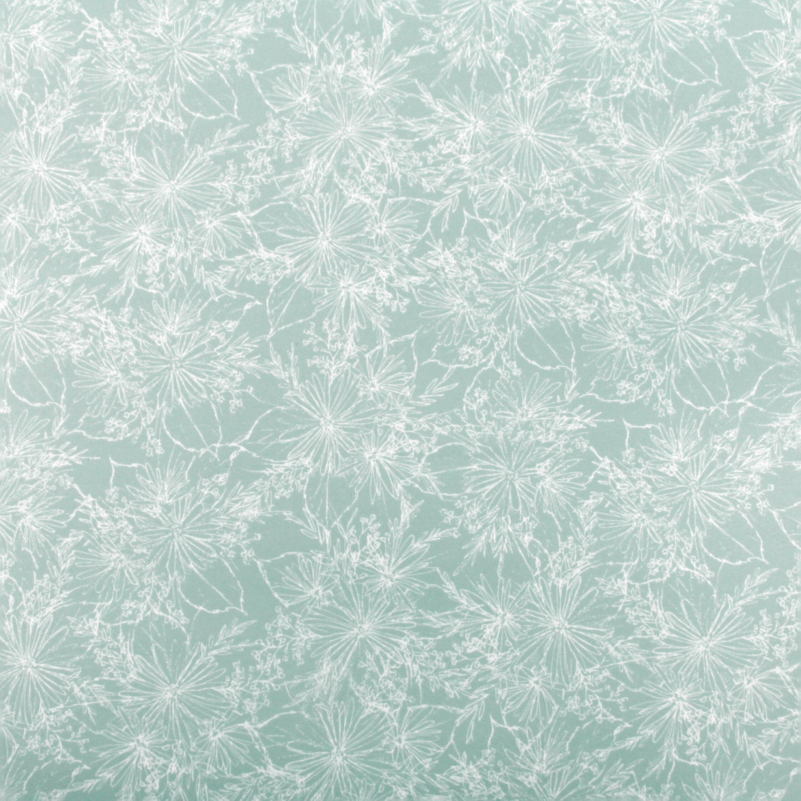 Sweet Daisy - Seafoam