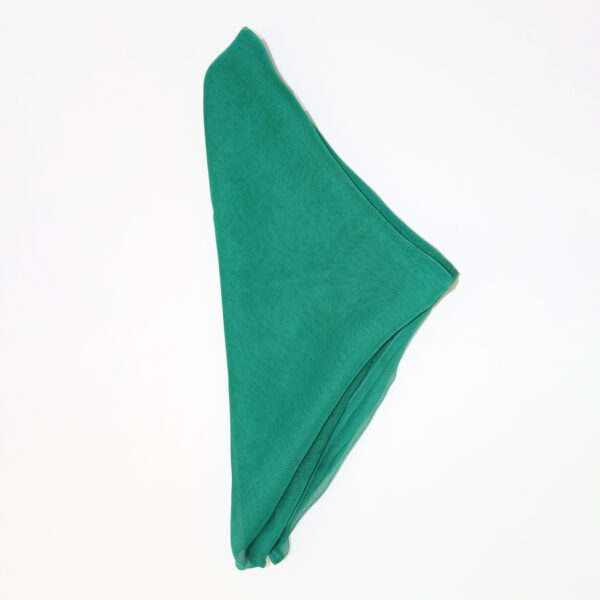 Bella Scarf - Alpine Green - Image 2