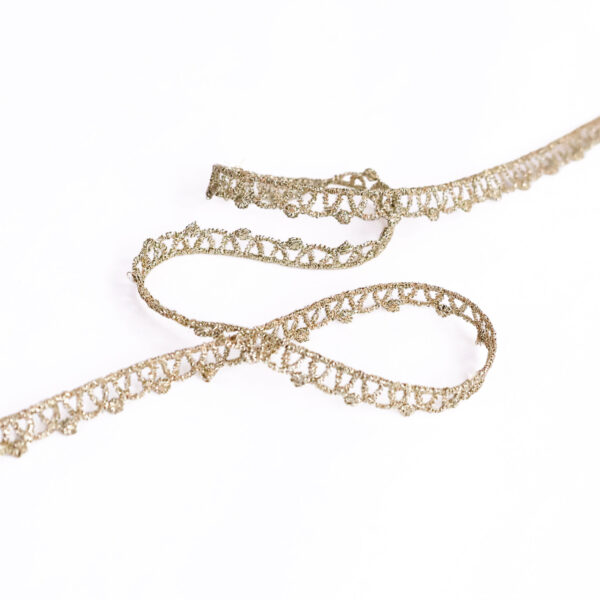 Shiny Champagne Gold Trim Lace - Image 2