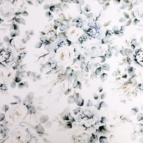Eucalyptus Rose