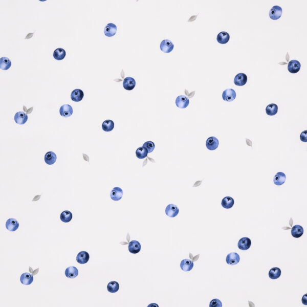 Blueberries