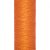 460-APRICOT