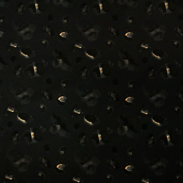Leopard Print - Image 8