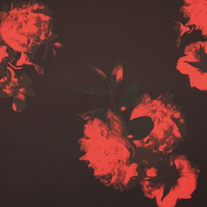 Peony Exposed Print