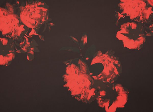 Peony Exposed Print