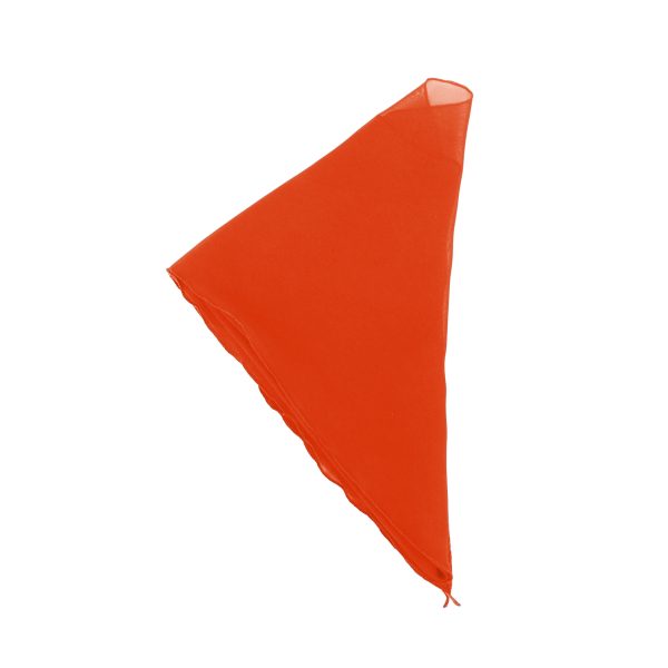 Chiffon Triangle Scarves - Image 7