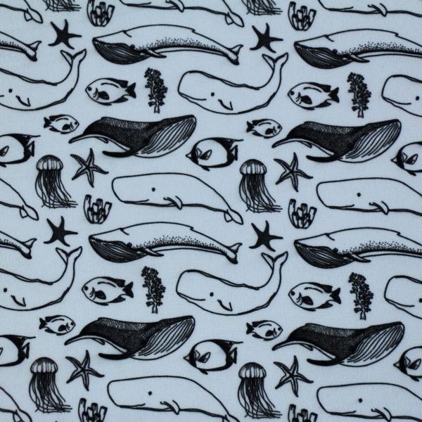 Whales Print